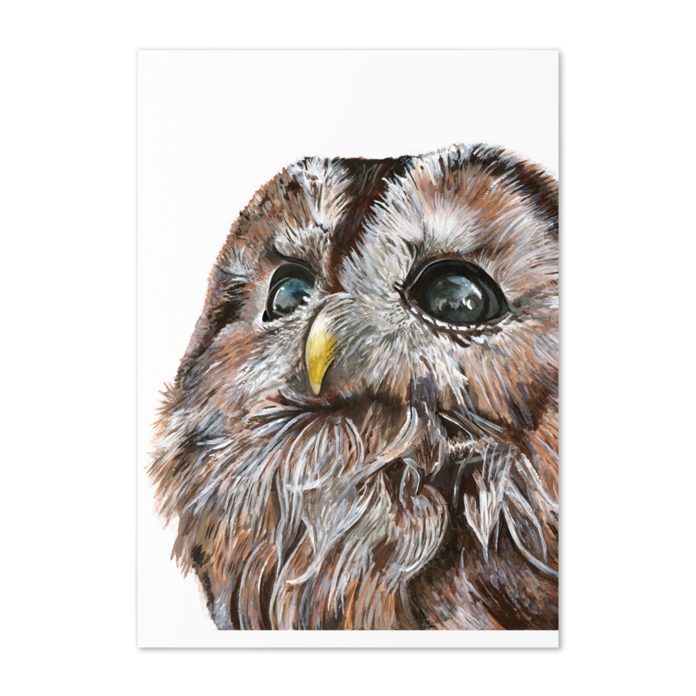 Tracey Parsons Owl greetings card