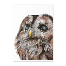 Tracey Parsons Owl greetings card