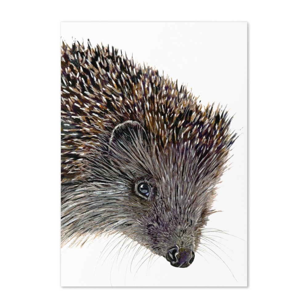 Tracey Parsons Hedgehog greetings card