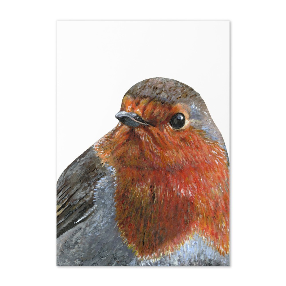 Tracey Parsons Robin greetings card
