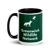 Mug with Color Inside