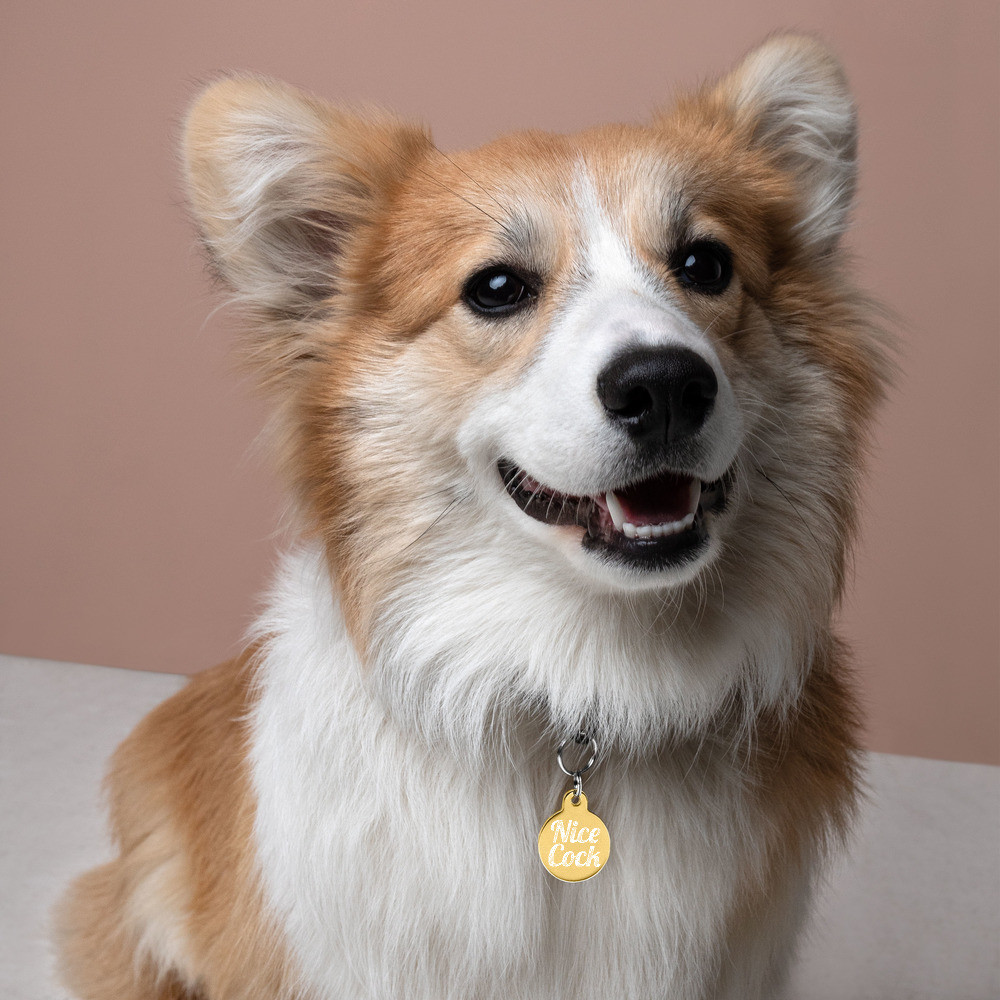 Nice Cock/Nice Butt Pet ID Tag