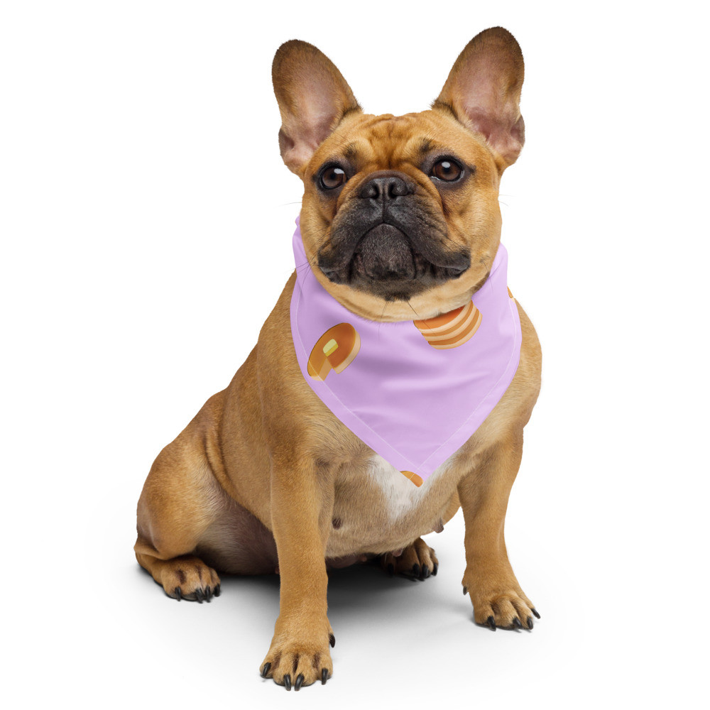 Comfy Bandana