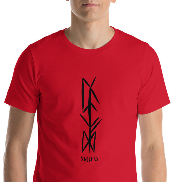 Viking SUCCESS Bindrunes Tee