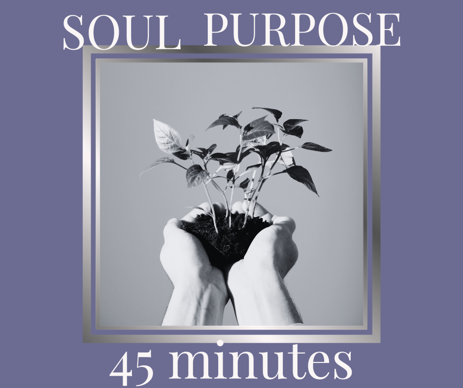 Soul Purpose Reading