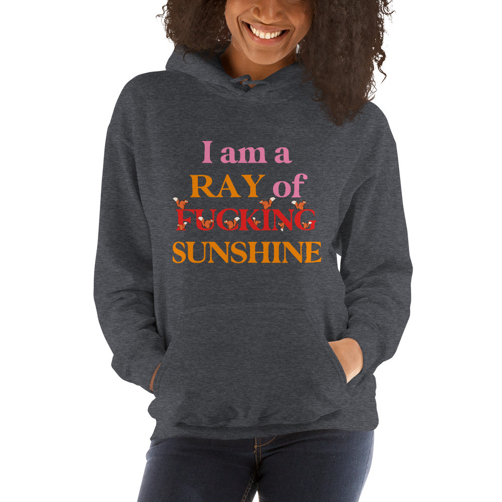 I'm a Ray of Fucking Sunshine Hoodie
