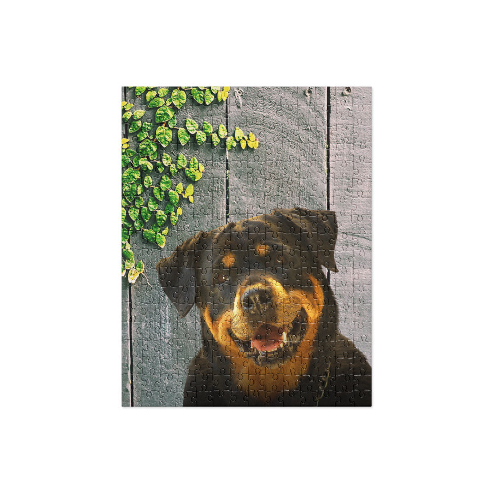 Rottweiler Face Jigsaw Puzzle