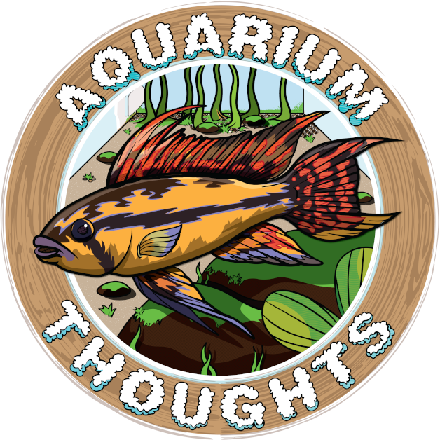 Help support  Dave's Aquarium Thoughts