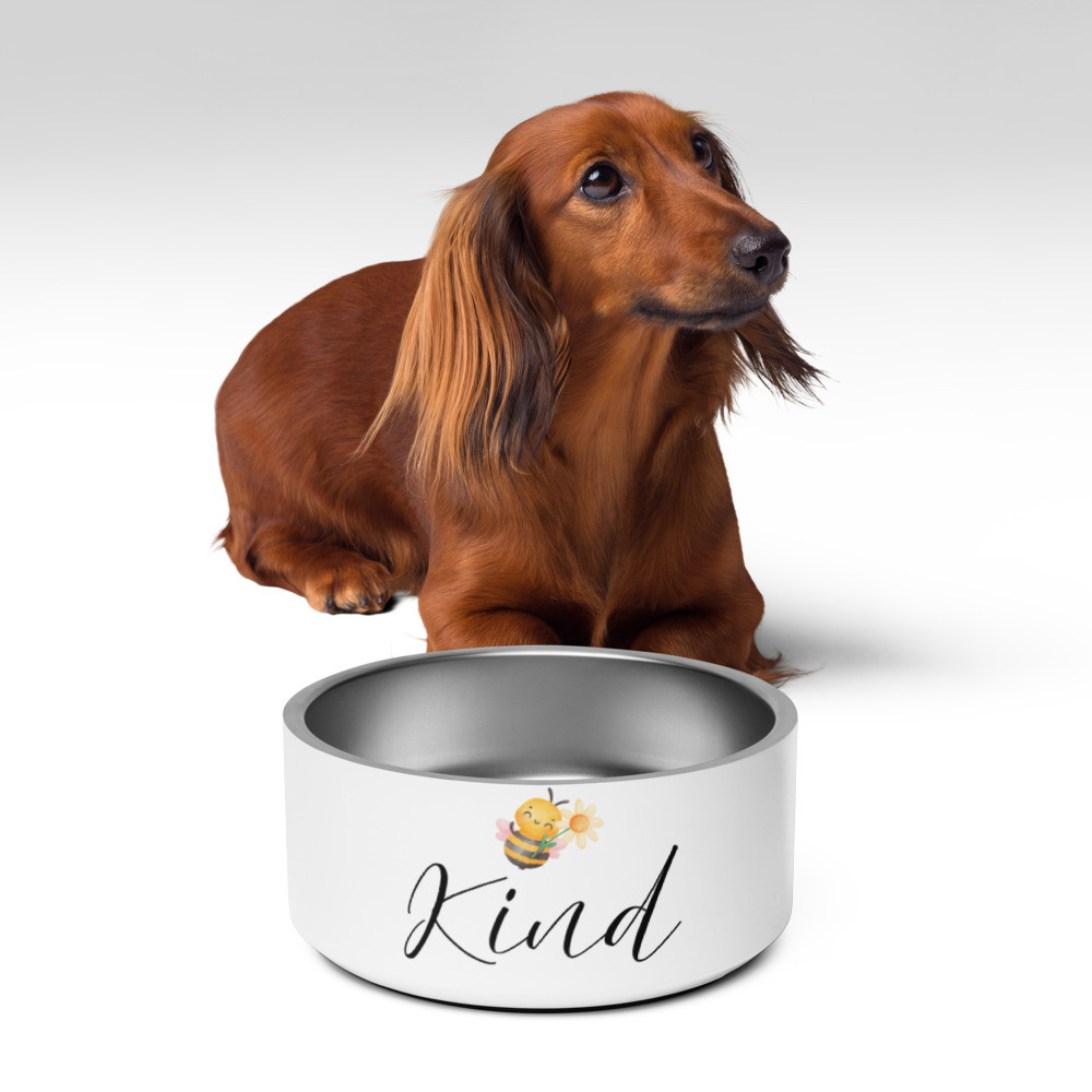 Classy Be Kind Pet Bowl