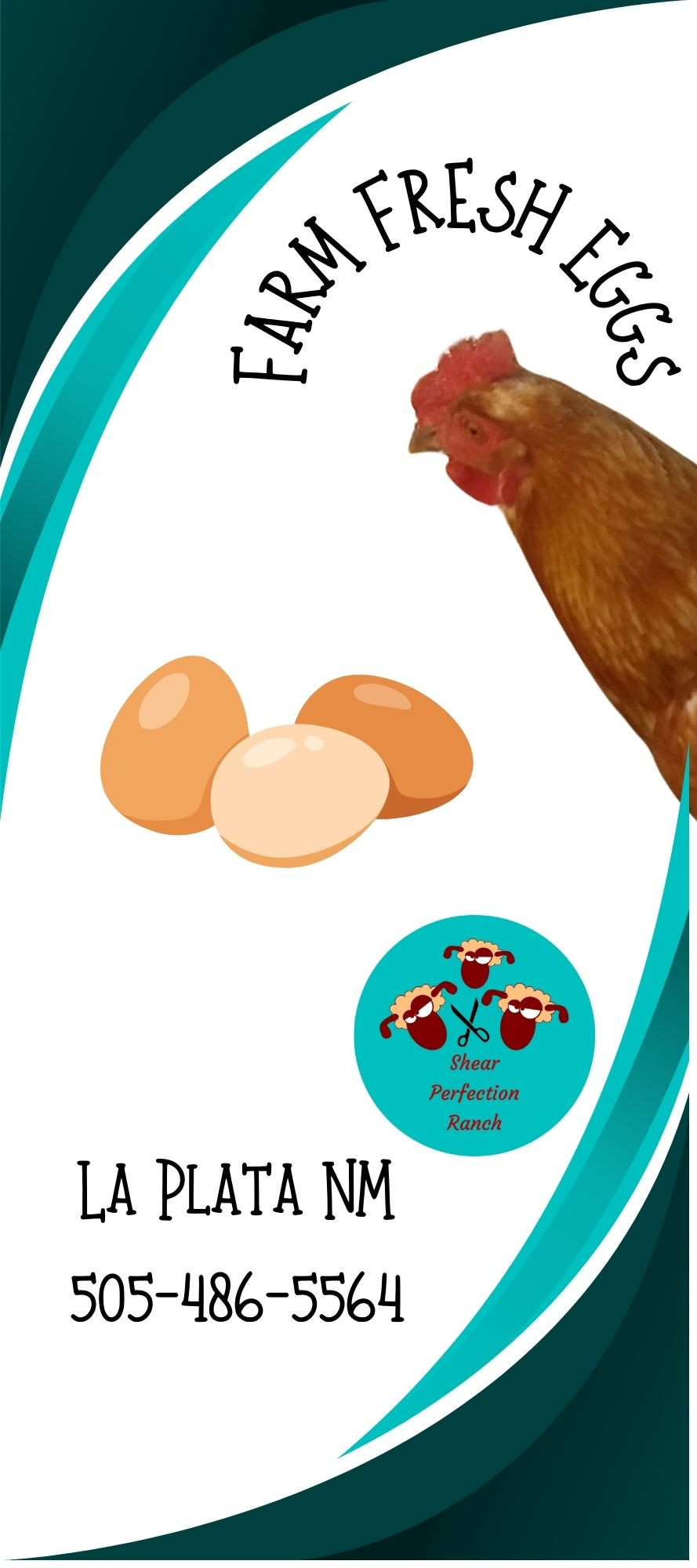 Rack Card