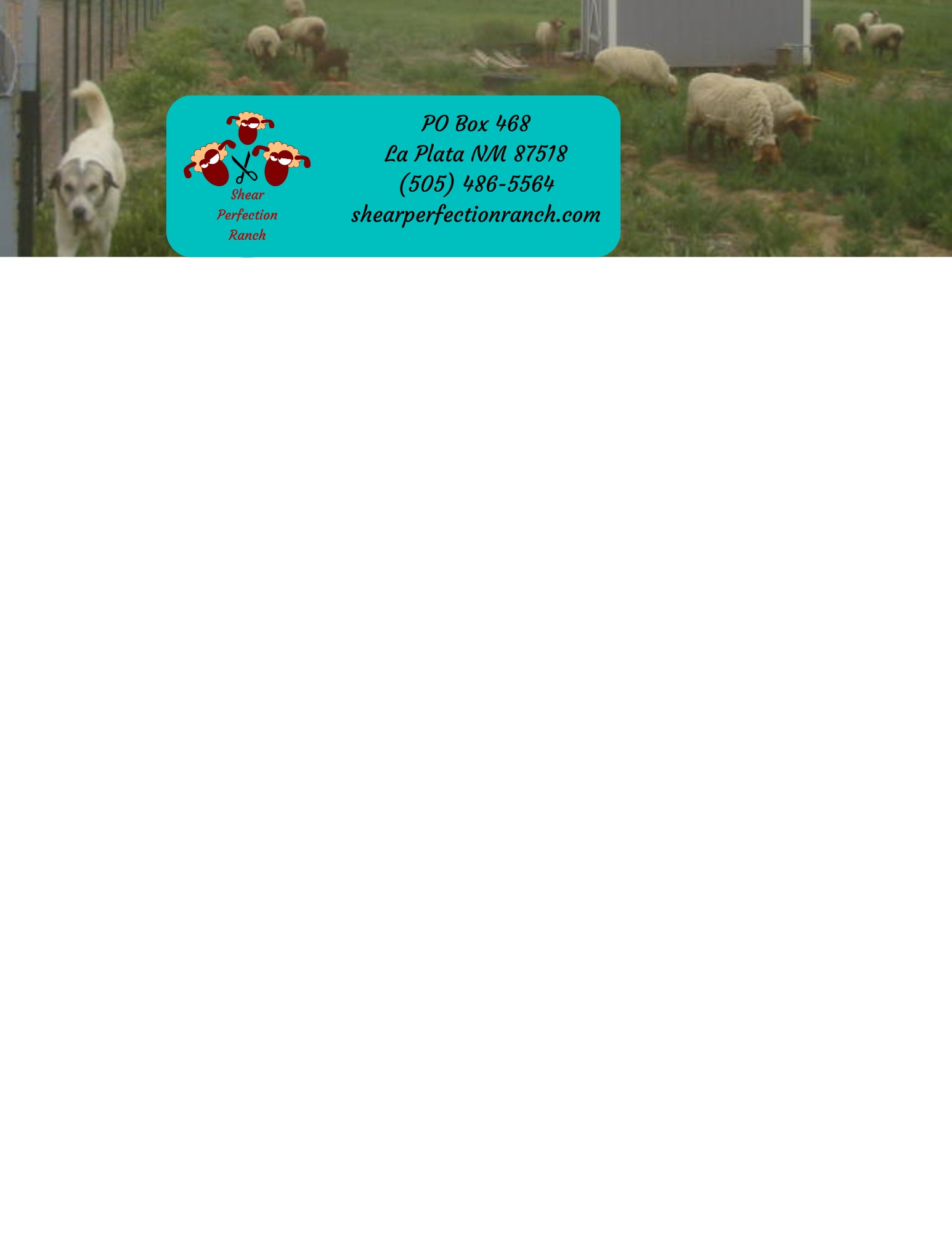 Letterhead Design