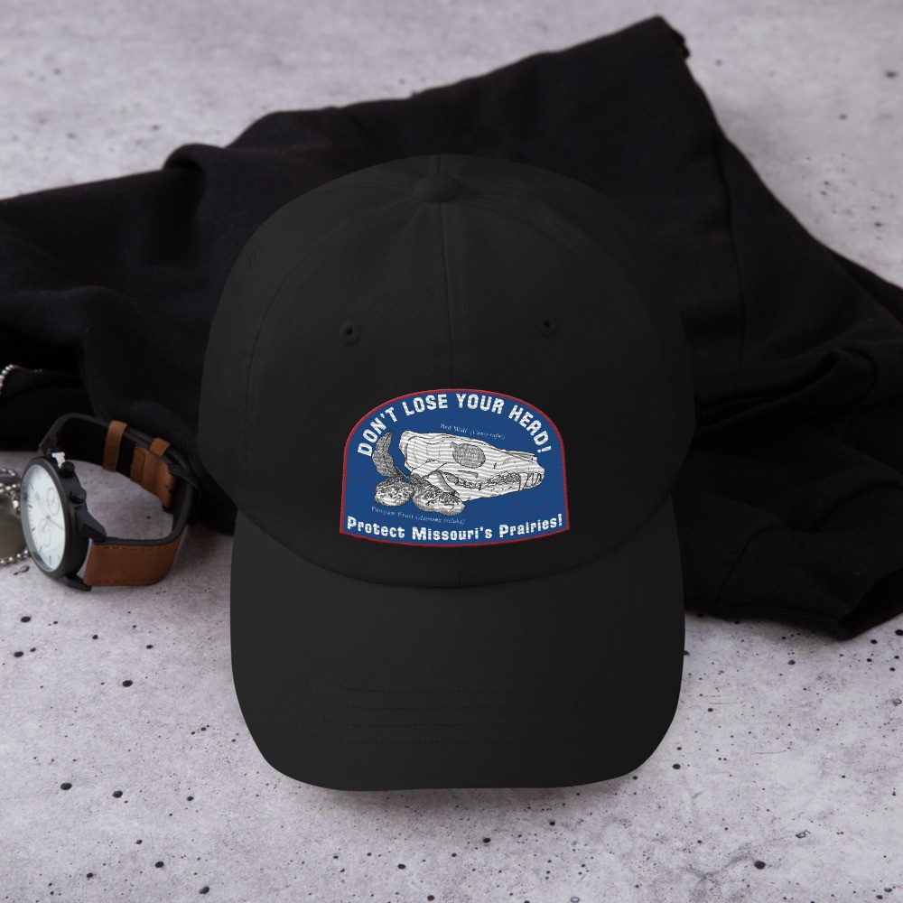 Don't Lose Your Head! Dad hat (Missouri))
