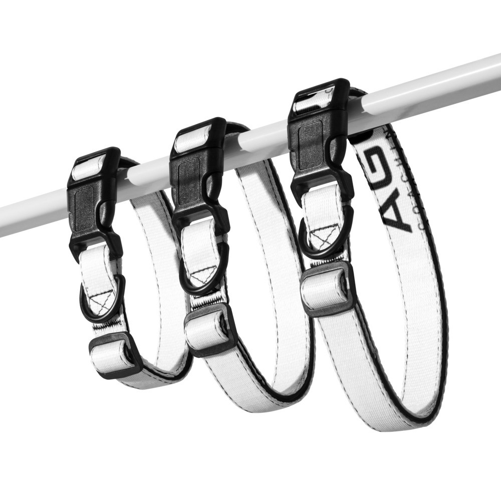 Pet collar