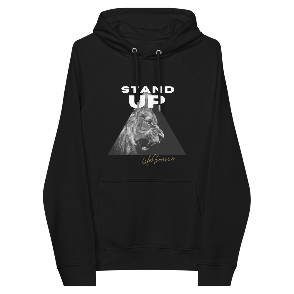 Unisex eco raglan hoodie