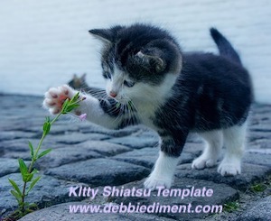 Cat Kitten Shiatsu Template Transmission