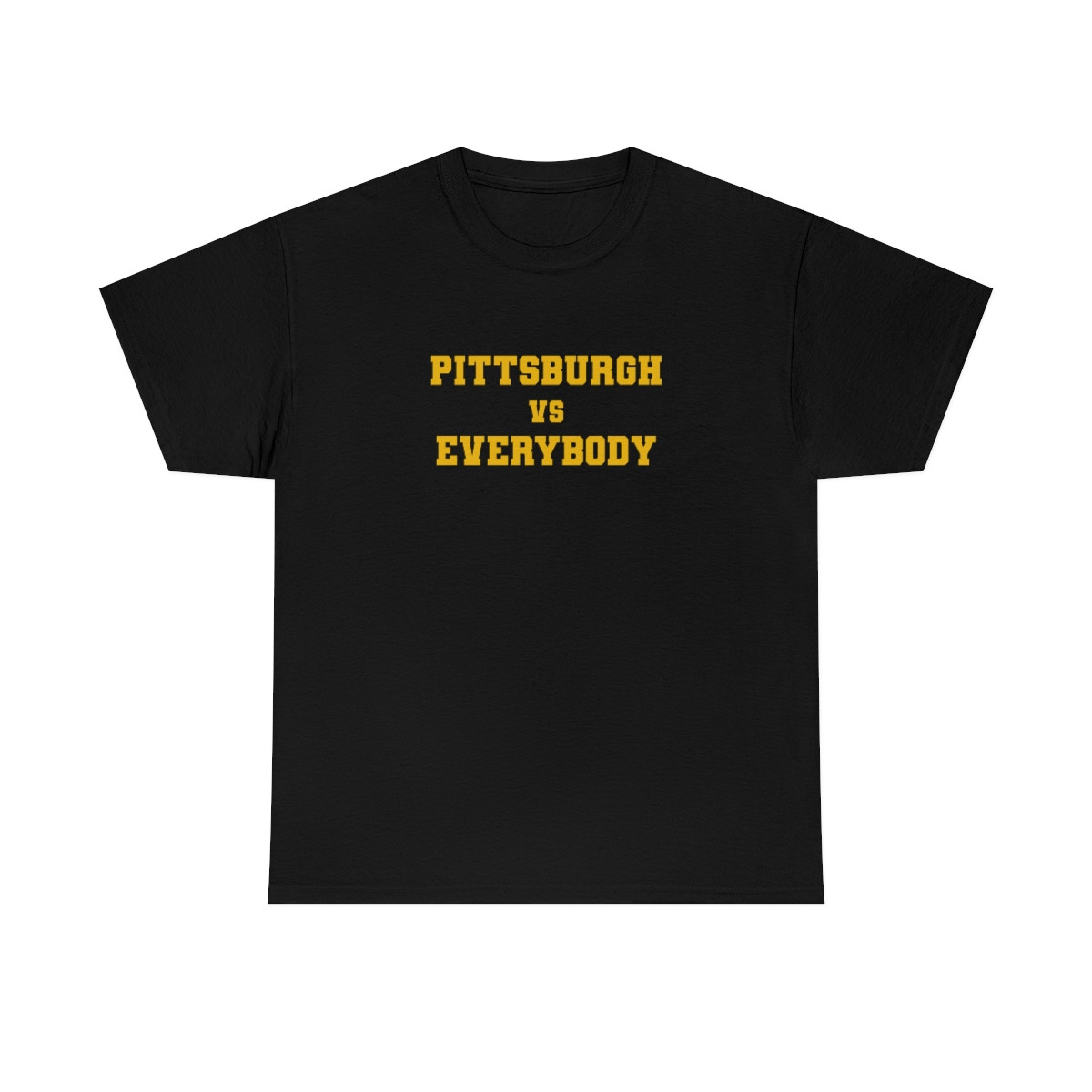 Pittsburgh vs Everybody  - Unisex Heavy Cotton Tee