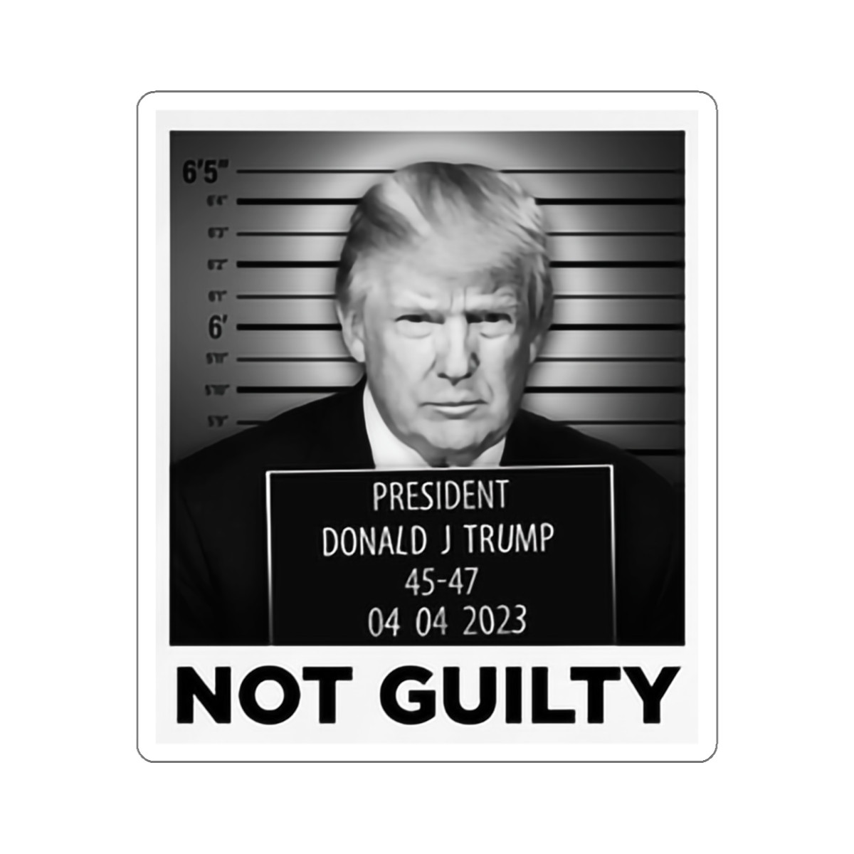 TRUMP Not Guilty Kiss-Cut Stickers