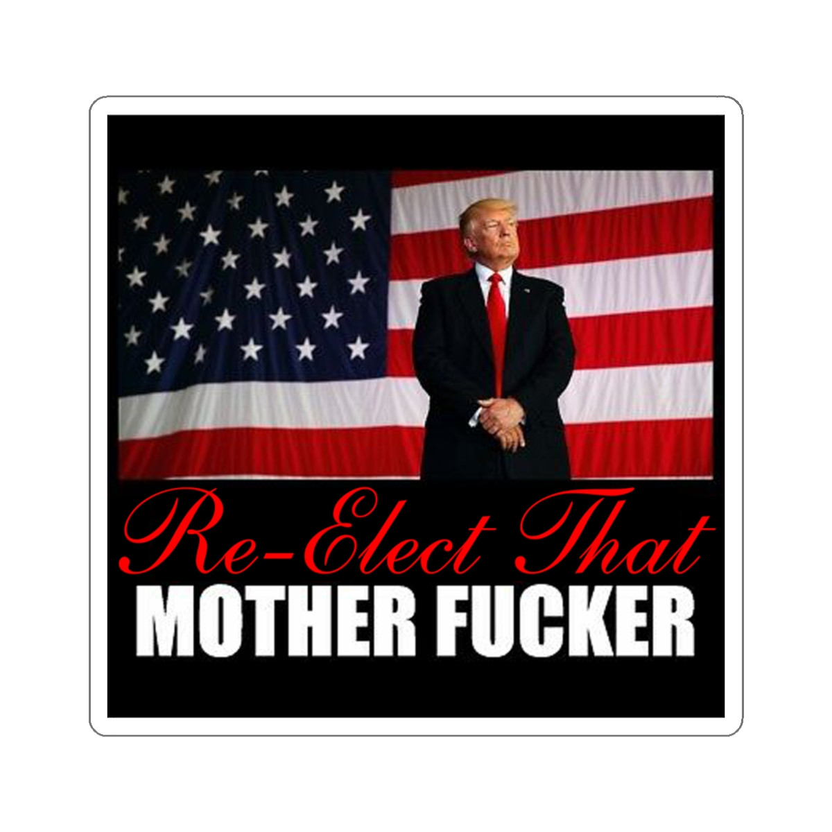 Re-Elect That Mother F er Kiss-Cut Stickers
