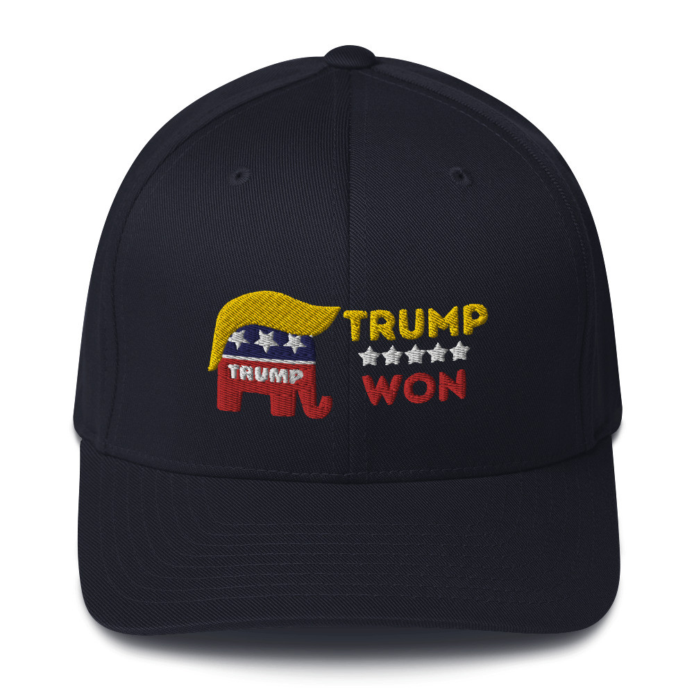 Trump Won 2020 Election Structured Twill Cap