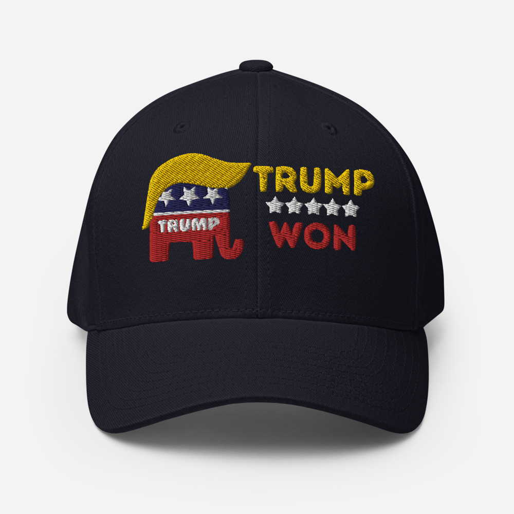 Trump Won 2020 Election Structured Twill Cap