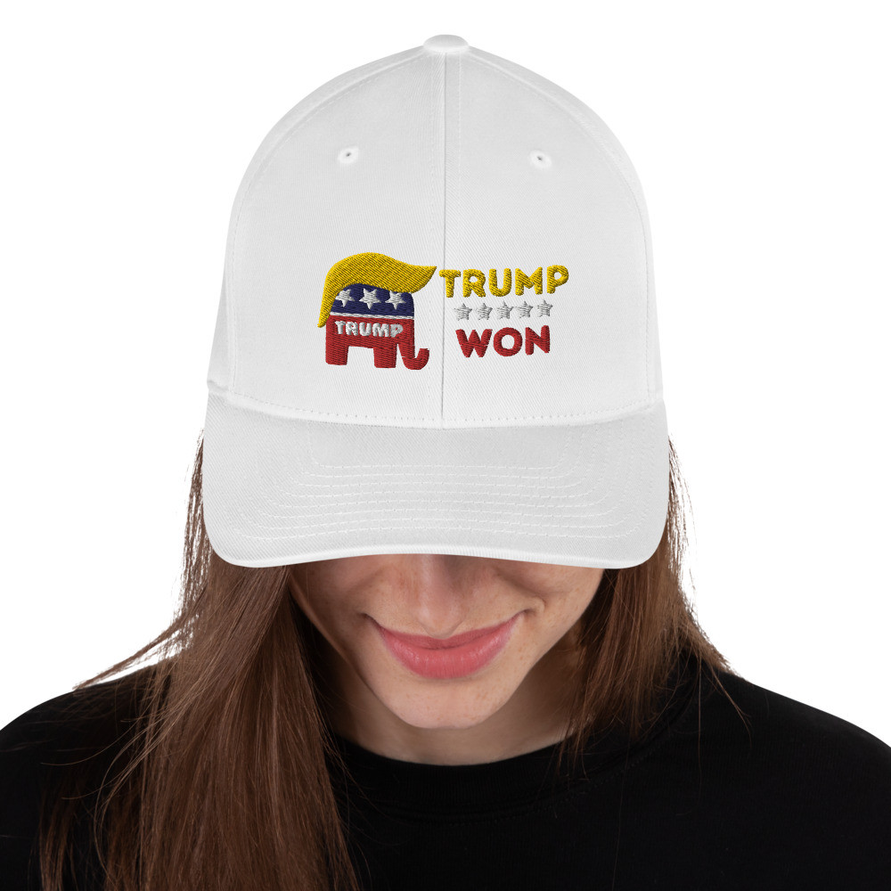 Trump Won 2020 Election Structured Twill Cap