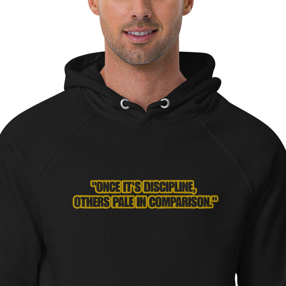 Unisex eco raglan 'once discipline, others pale in comparison' hoodie