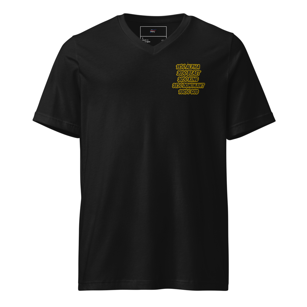 Unisex Short Sleeve V-Neck T-Shirt