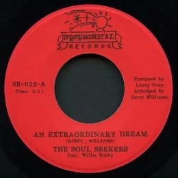 The Soul Seekers - An Extraordinary Dream