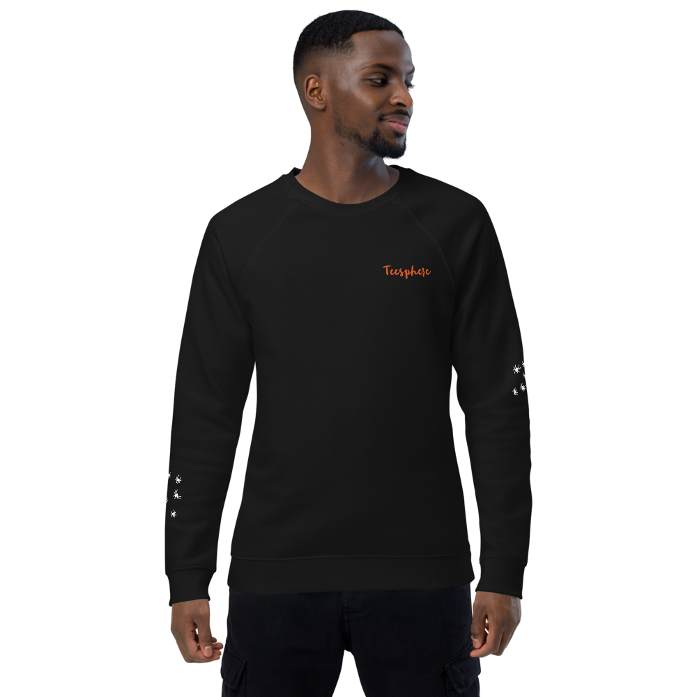 Teesphere : Men's Organic Raglan Sweatshirt | SOL'S