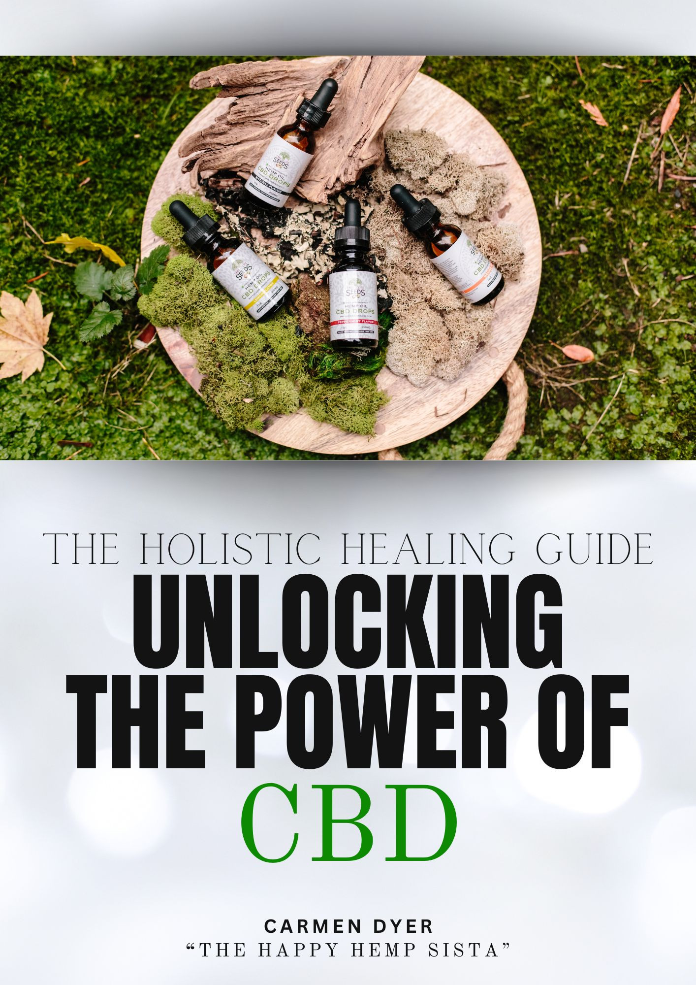 THE HOLISTIC HEALING GUIDE
