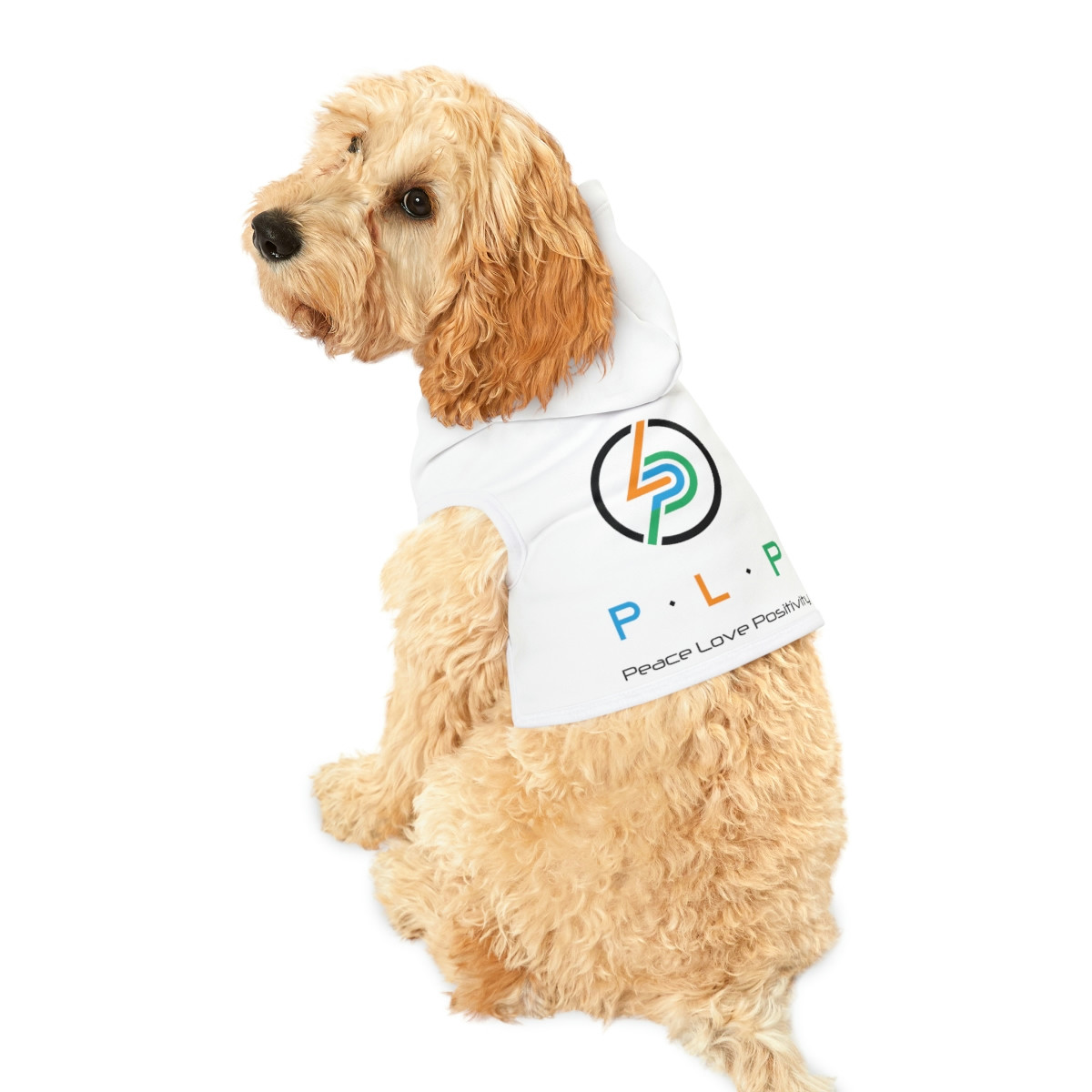 Classic Logo Dog Hoodie