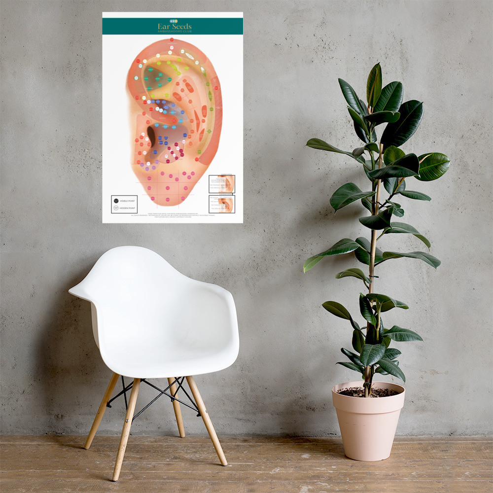 Auriculotherapy Chart (Poster Size)