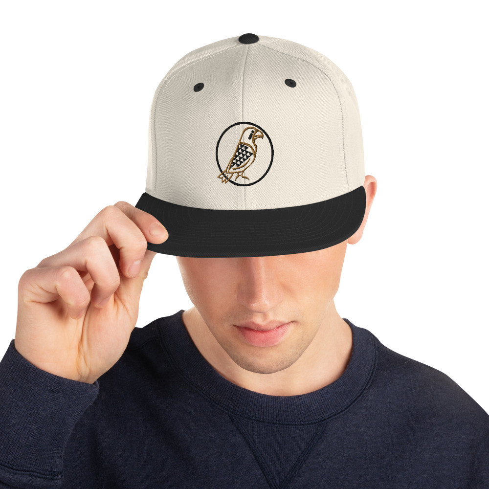Black Logo Snapback Hat