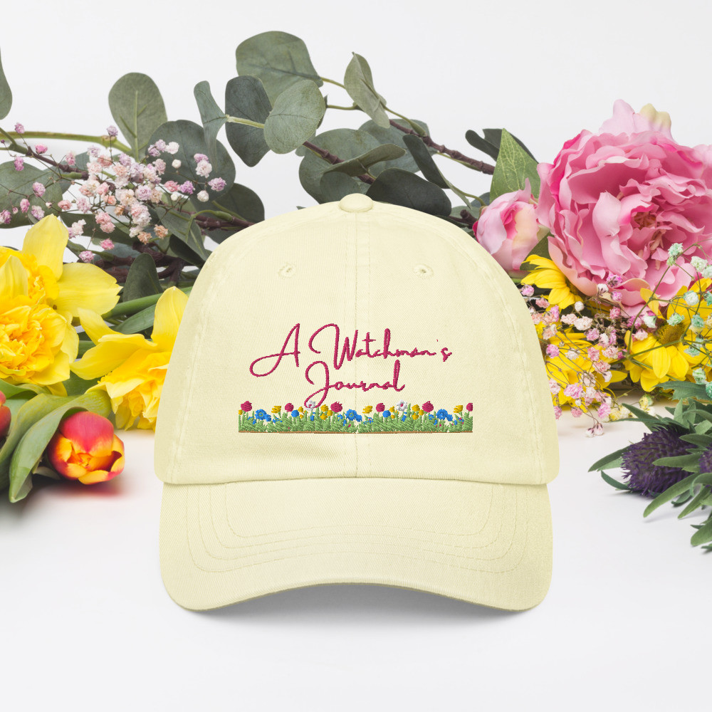 A Watchman's Journal Diana Larkin Prophet Pastel ball Hat