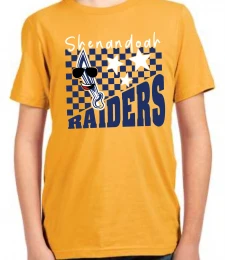 Checks and Stars Raiders Tee