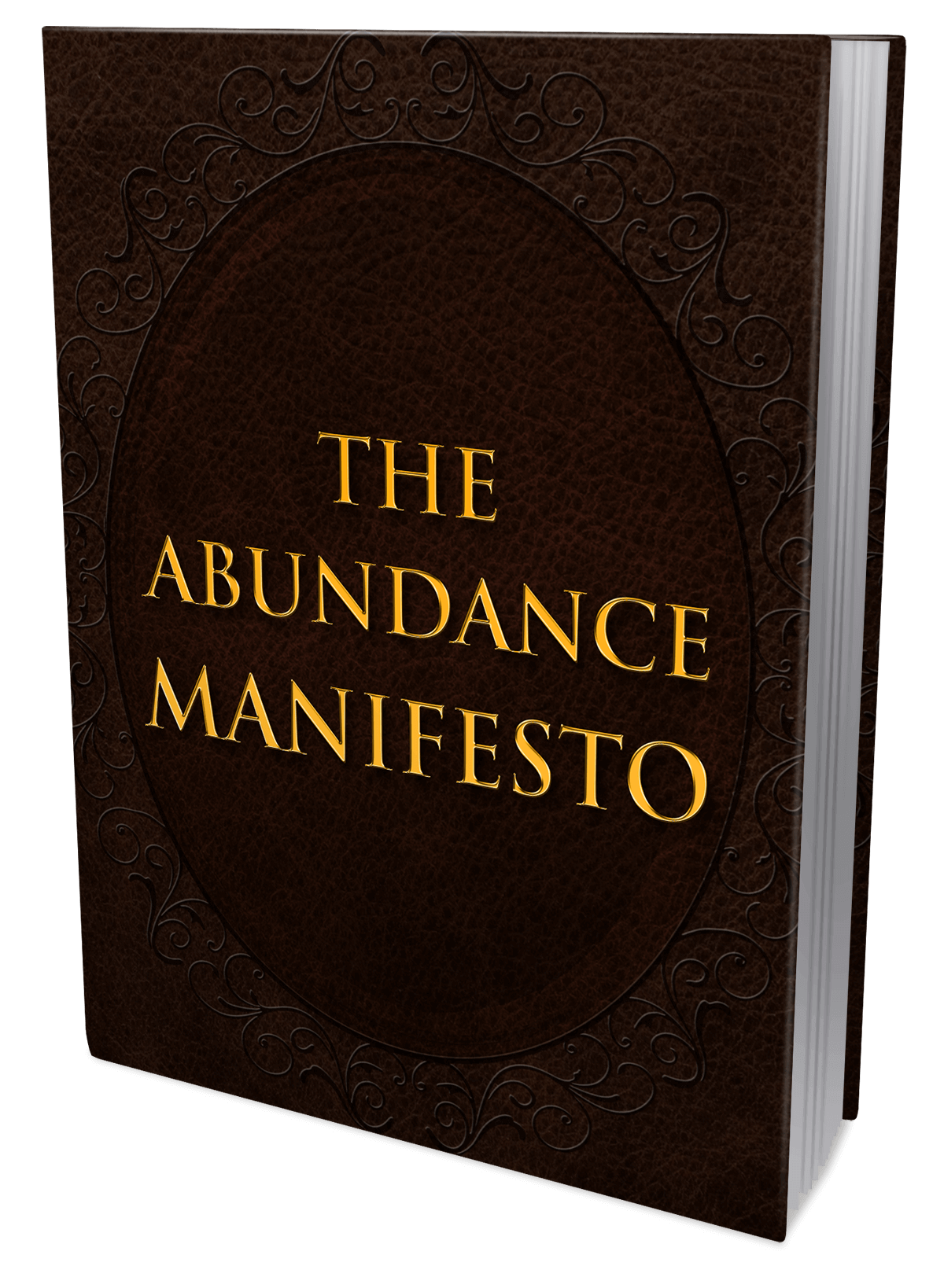 The Abundance Manifesto
