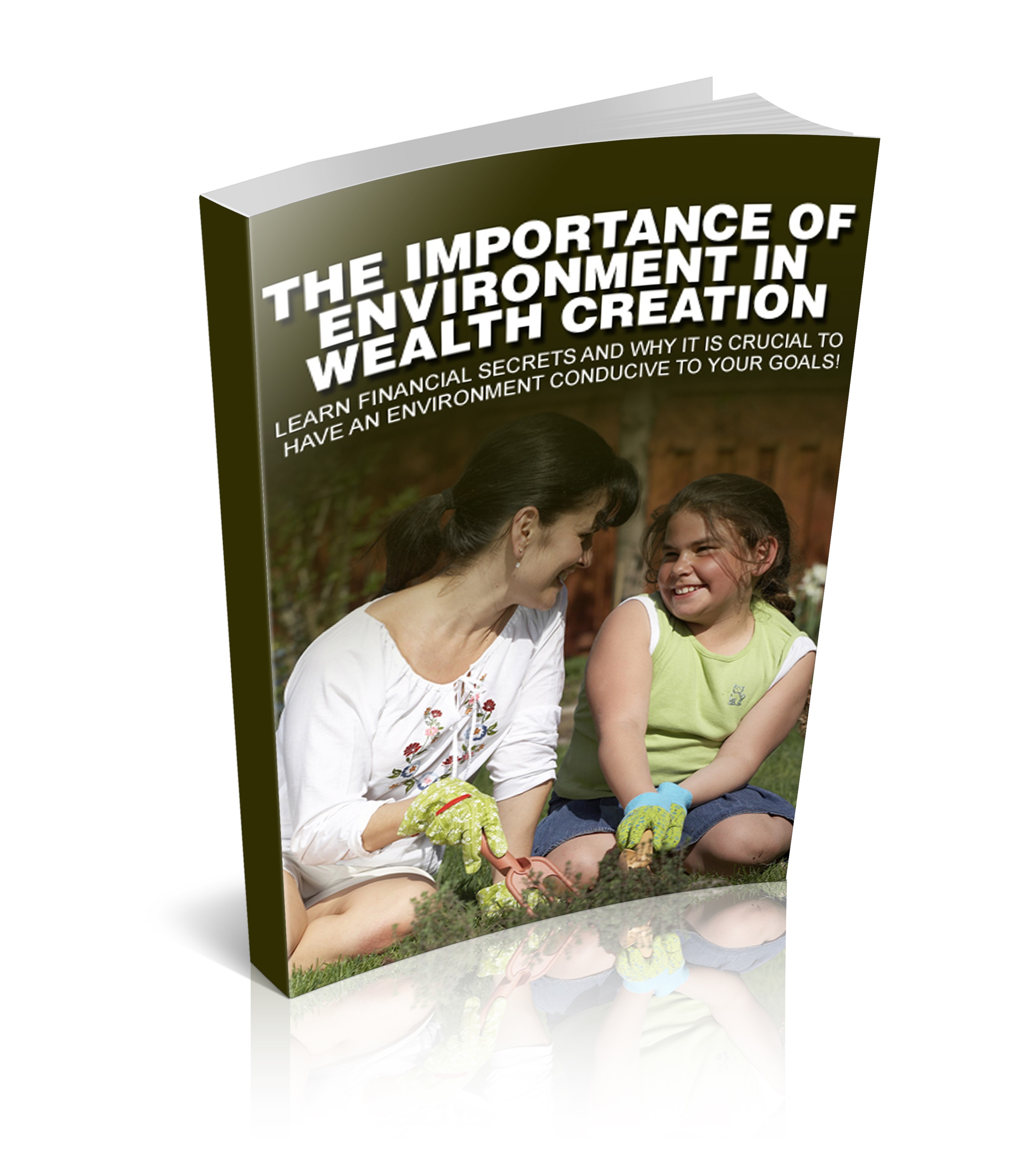 The Importance of Environment In Wealth Creation