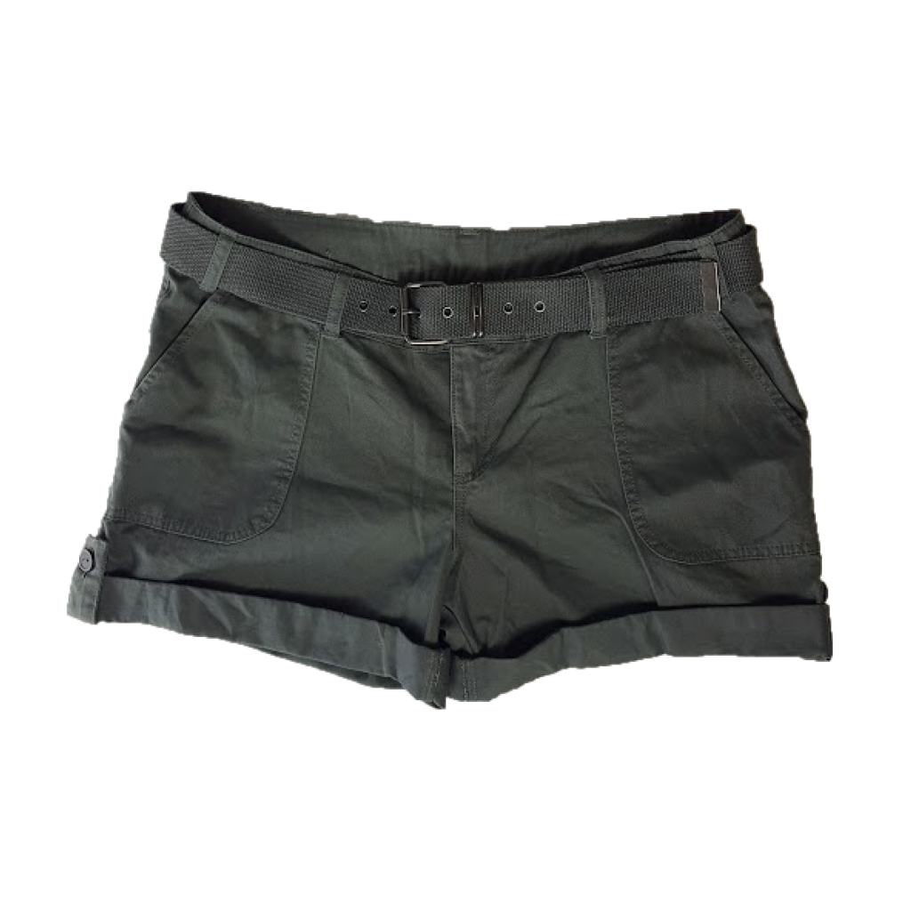 Now Cargo Shorts, Size 16