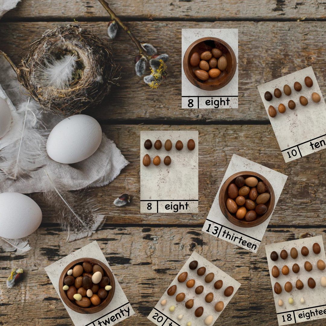 Egg and Nest number cards to 20 download