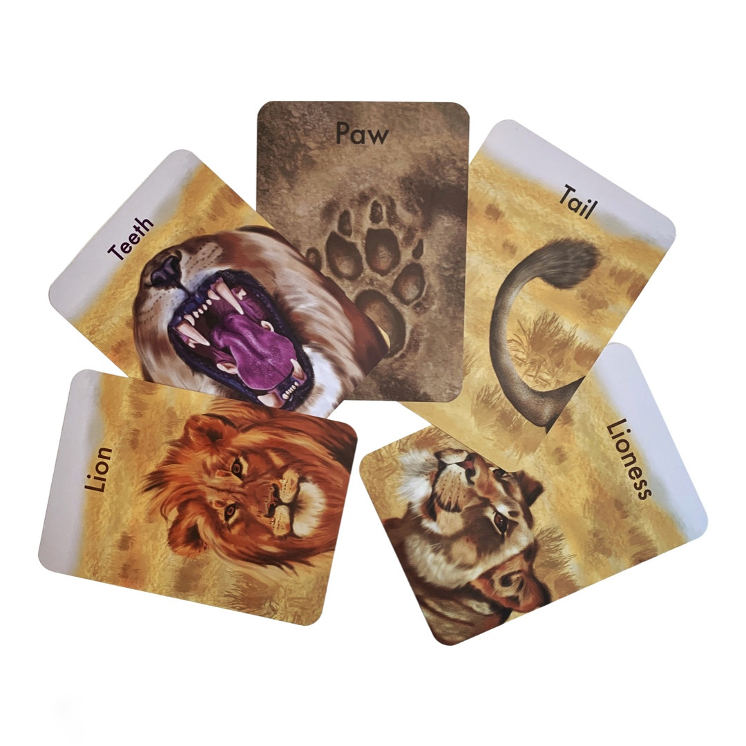 Lion Playdough Mat Flashcards