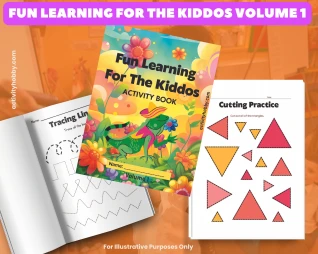 Fun Learning For The Kiddos Activity Book Volume 1