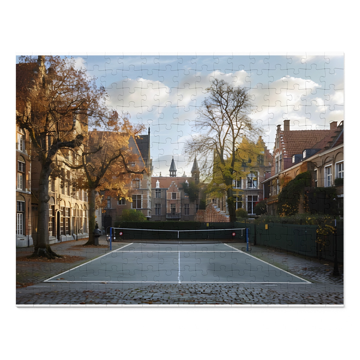 In Bruges. Pickleball. JIGSAW PUZZLE (30, 110, 252, 500,1000-Piece)