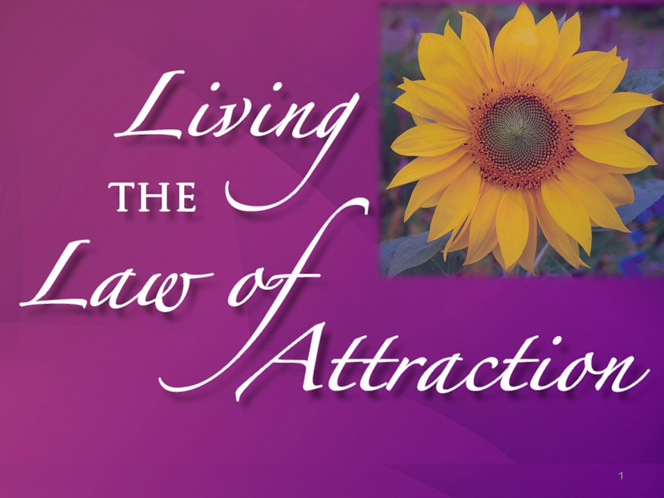 Living the Law of Attraction (Single Purchase 3/6)