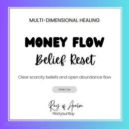 Money Flow Belief Reset