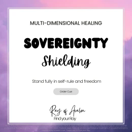 Sovereignty Shielding