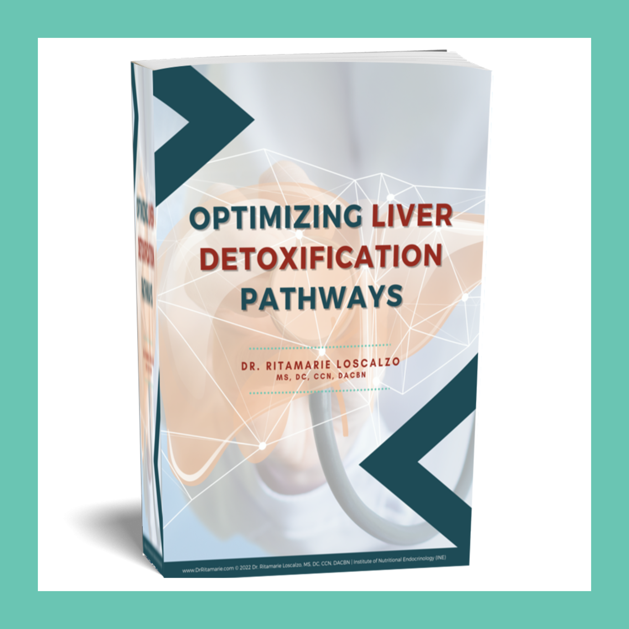 Optimizing Liver Detoxification Pathways