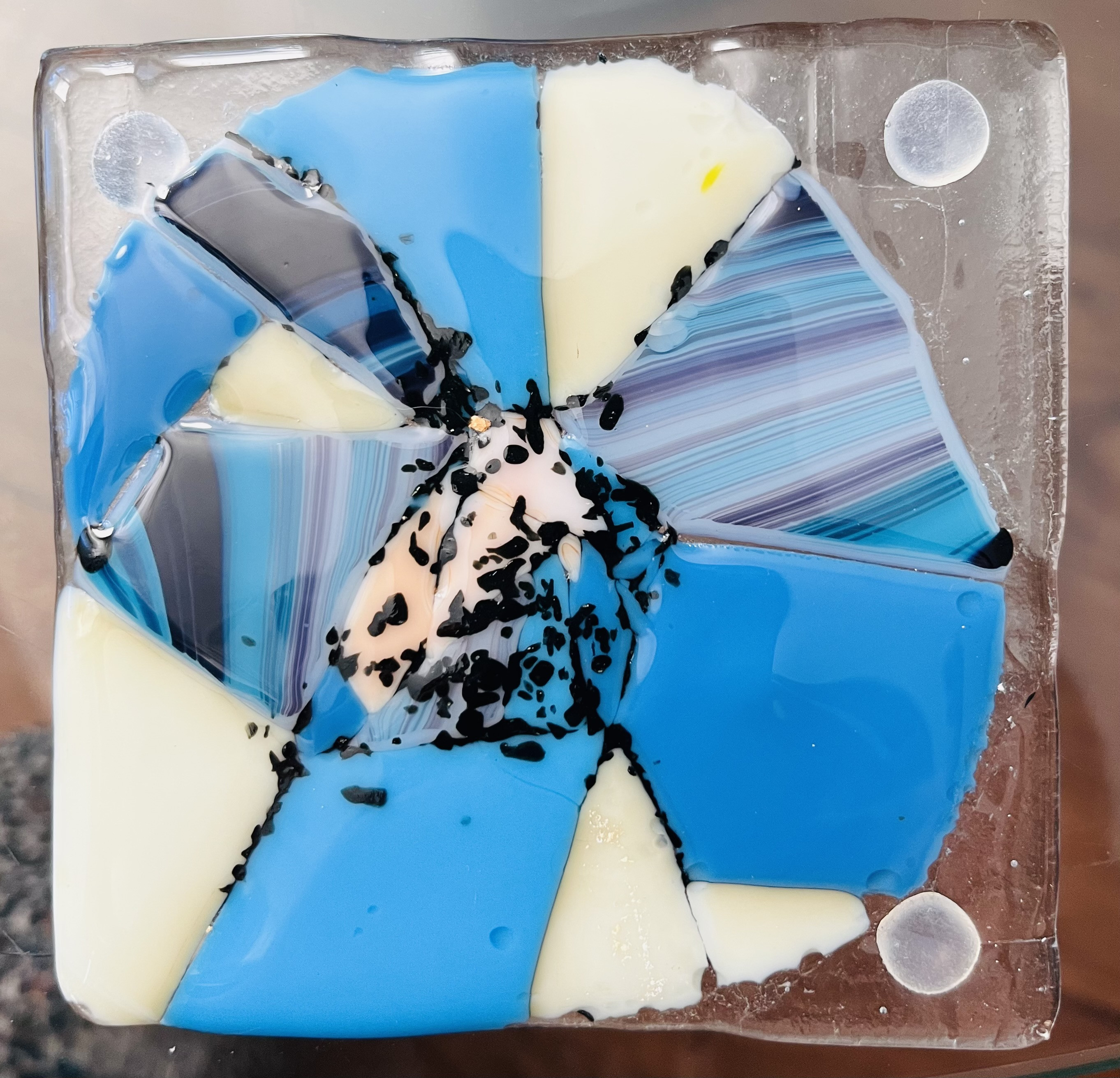 Sea Shell Coaster