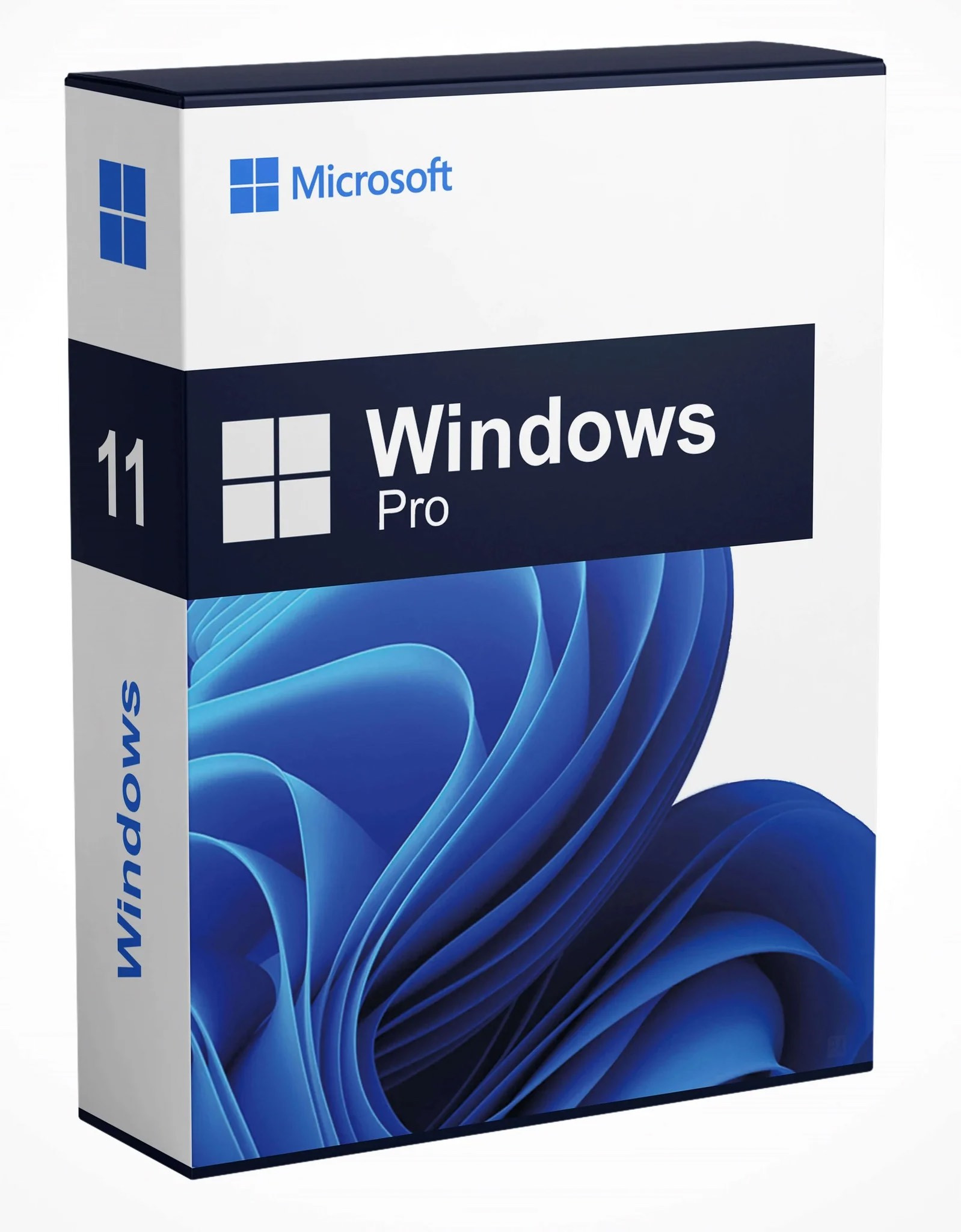 Windows 11