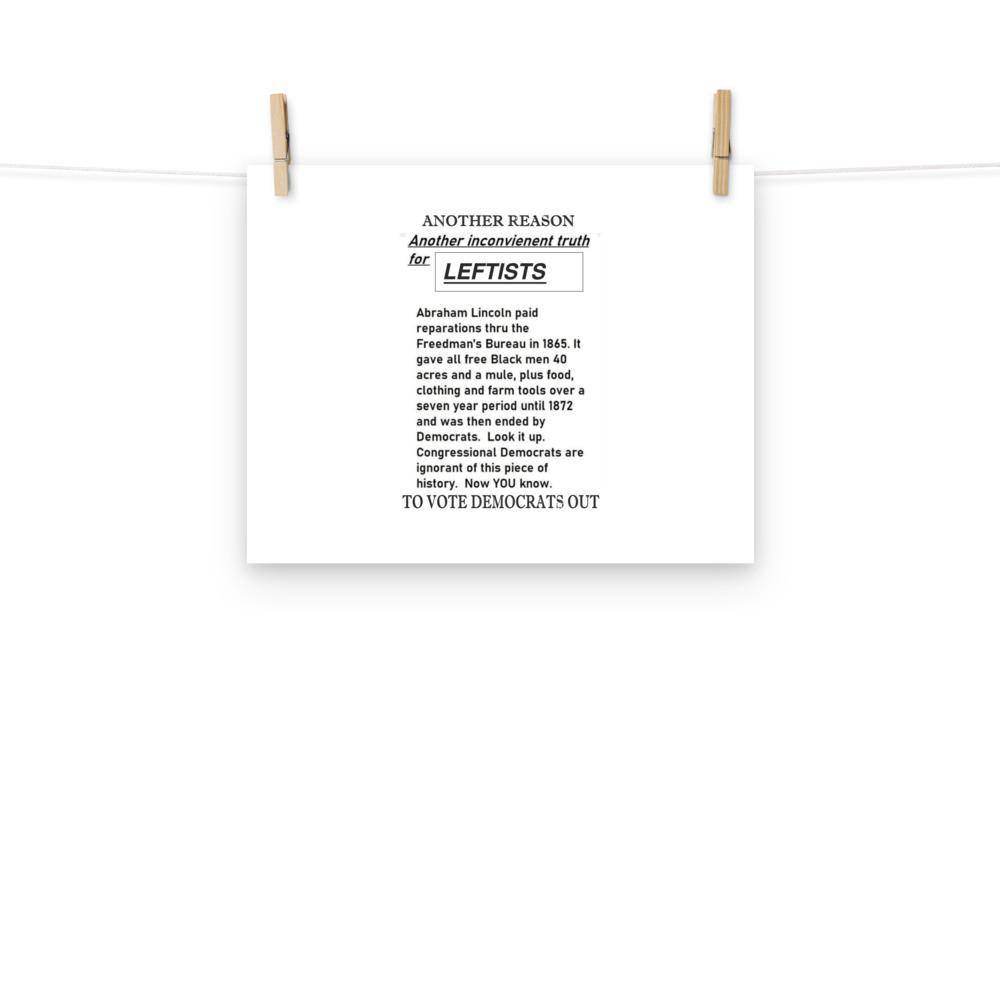 REason21 to vote Dems out Poster