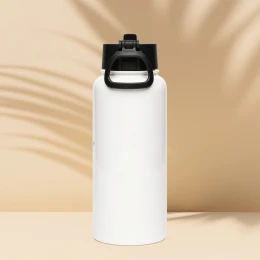 No Fossils Stainless steel water bottle with a straw lid